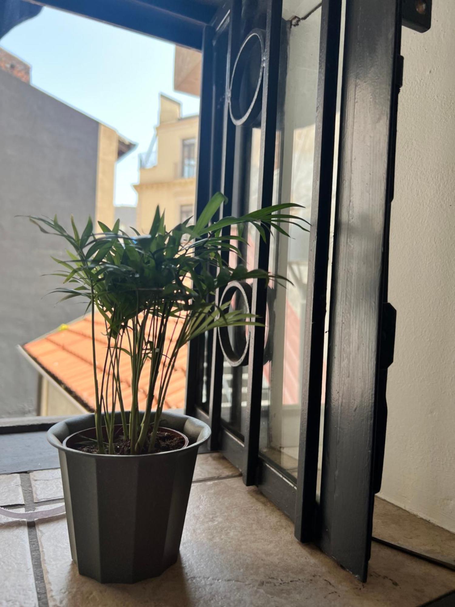 Catania,Sicilia,Italia Barcaioli'S Home Exterior photo